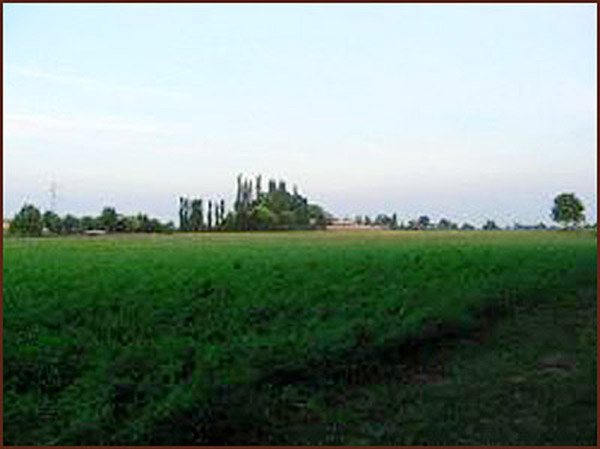 イタリアレコーディング